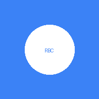 Ramdeo Baba College of Engineering and Management